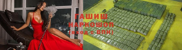 хмурый Магас