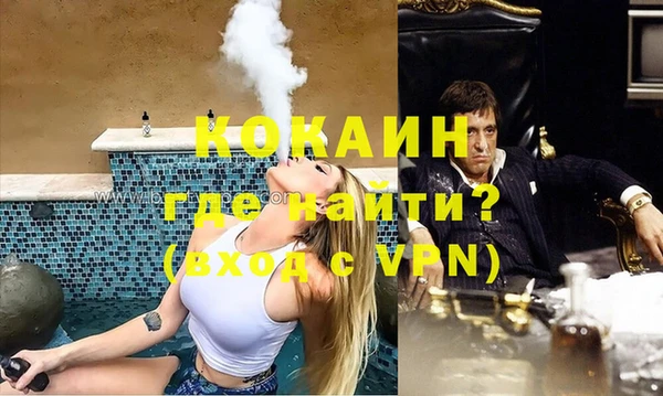 хмурый Магас