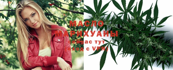 дживик Мегион