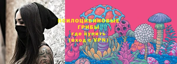 бошки Медвежьегорск