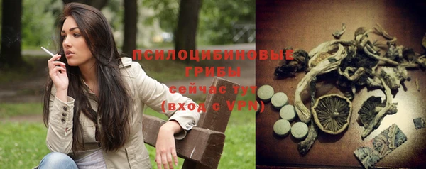 бошки Медвежьегорск