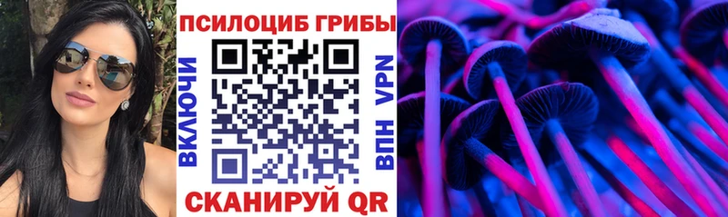 Псилоцибиновые грибы Psilocybe Минусинск