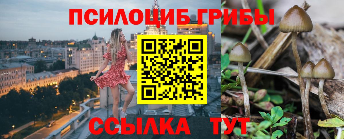 Псилоцибиновые грибы ЛСД  Вход с VPN  где купить наркоту  Минусинск 
