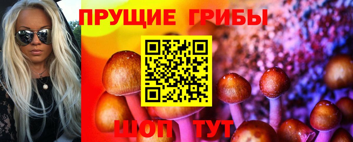 Галлюциногенные грибы мицелий Минусинск
